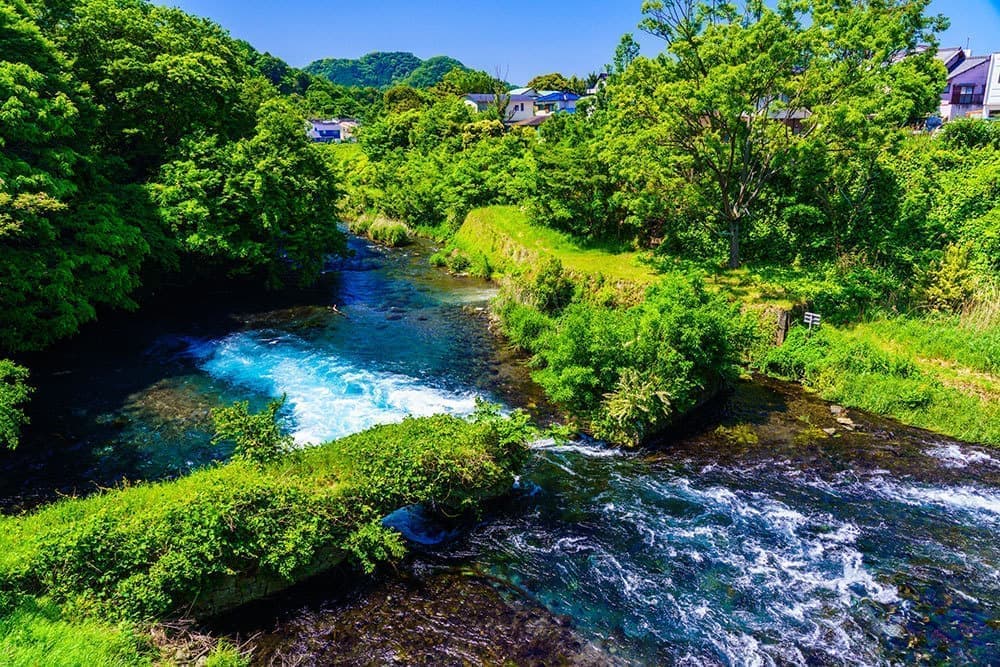 駿東郡清水町・清水町議会議員　松下なおみ