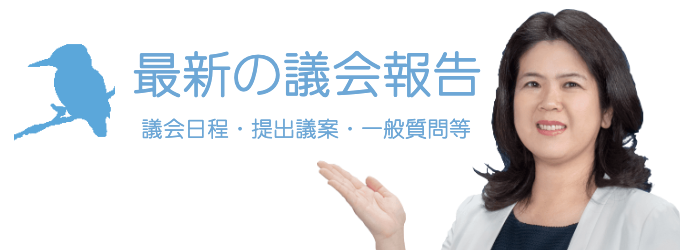 松下なおみ 最新の議会報告