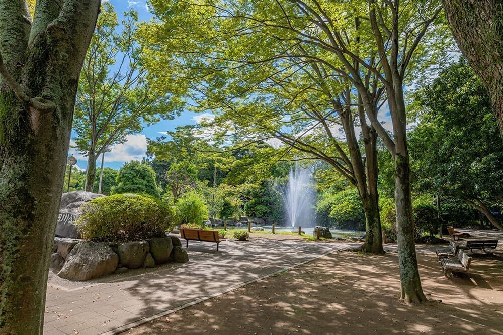 駿東郡清水町柿田川公園・清水町議会議員 松下なおみ