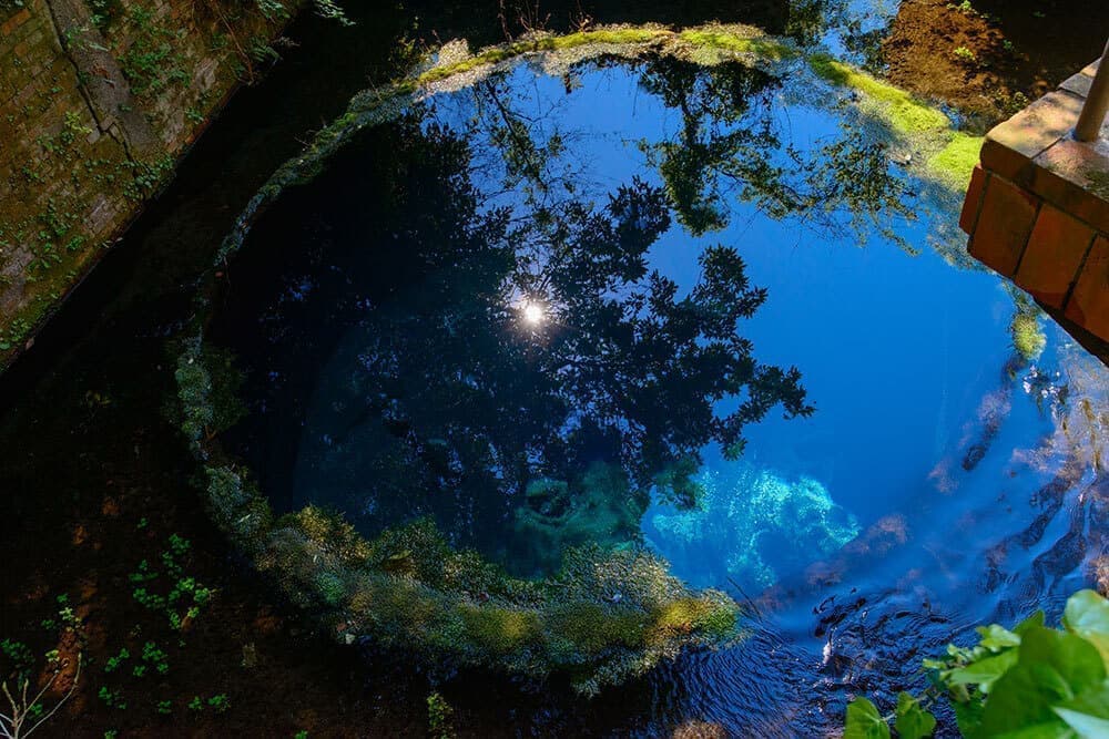 駿東郡清水町柿田川公園・清水町議会議員 松下なおみ